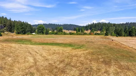 Other - 9119 E Woolard Rd, Colbert, WA 99005 photo 18 of 18