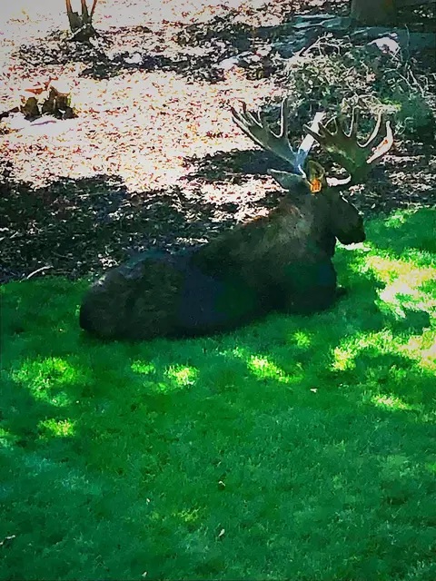 Other - 23214 N Perry Rd, Colbert, WA 99005 photo 17 of 17