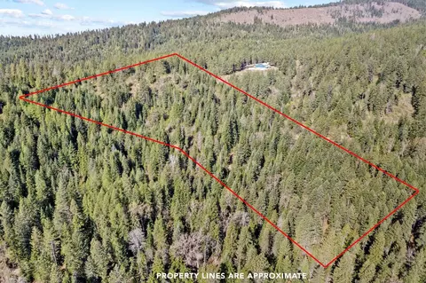 12703 S Alpine Fern Ln, Rockford, WA 99030