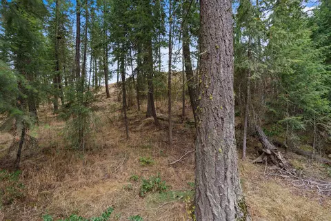Exterior - 1106 E Silver Pine Rd, Colbert, WA 99005 photo 9 of 9