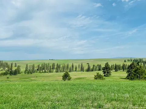 40 Acres 11900 Hays Rd #LOT A - PARCEL 9030, Spangle, WA 99031 photo 7