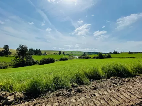 40 Acres 11900 Hays Rd #LOT A - PARCEL 9030, Spangle, WA 99031 photo 12