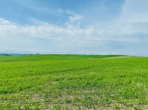 40 Acres 11900 Hays Rd #LOT A - PARCEL 9030, Spangle, WA 99031 photo 16