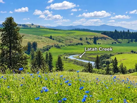 40 Acres 11900 Hays Rd #LOT A - PARCEL 9030, Spangle, WA 99031 photo 29