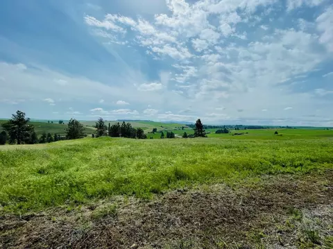 40 Acres 11900 Hays Rd #LOT A - PARCEL 9030, Spangle, WA 99031 photo 24