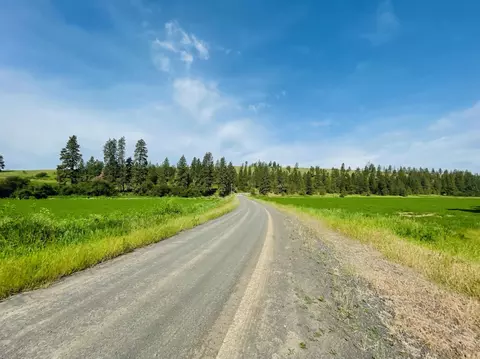 40 Acres 11900 Hays Rd #LOT A - PARCEL 9030, Spangle, WA 99031 photo 26