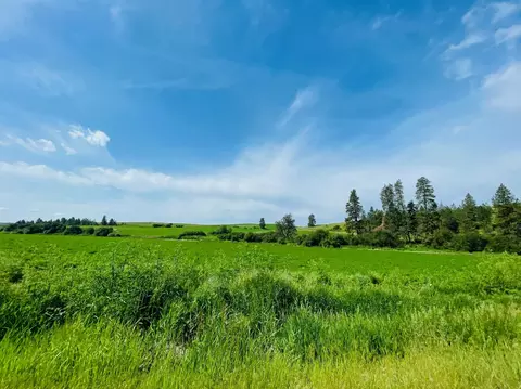 40 Acres 11900 Hays Rd #LOT A - PARCEL 9030, Spangle, WA 99031 photo 9