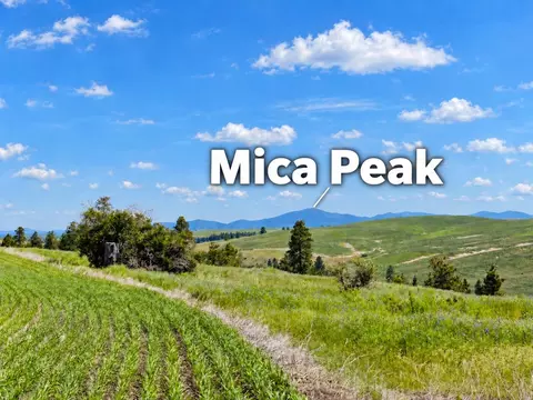 40 Acres 11900 Hays Rd #LOT A - PARCEL 9030, Spangle, WA 99031 photo 2