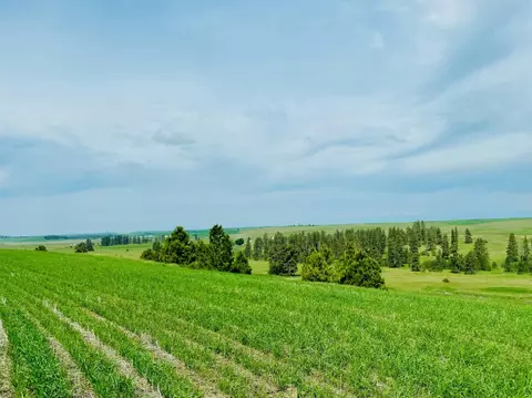 40 Acres 11900 Hays Rd #LOT A - PARCEL 9030, Spangle, WA 99031 photo 17