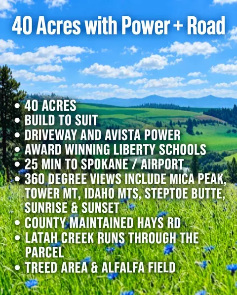 40 Acres 11900 Hays Rd #LOT A - PARCEL 9030, Spangle, WA 99031 photo 3