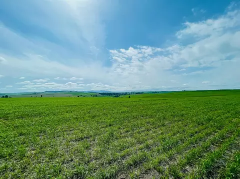 40 Acres 11900 Hays Rd #LOT A - PARCEL 9030, Spangle, WA 99031 photo 22