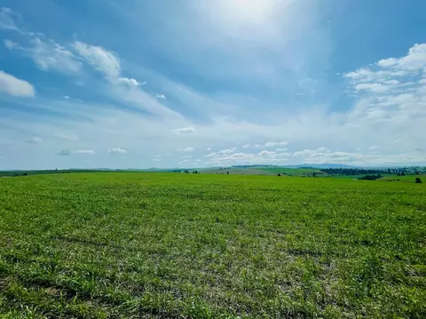 40 Acres 11900 Hays Rd #LOT A - PARCEL 9030, Spangle, WA 99031 photo 21