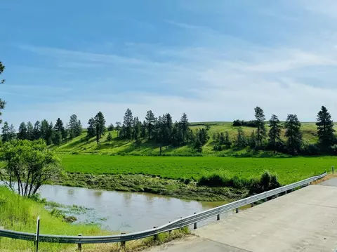 40 Acres 11900 Hays Rd #LOT A - PARCEL 9030, Spangle, WA 99031 photo 6