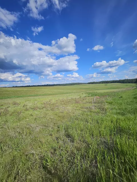 52 Nn Wagner Lot D Rd, Springdale, WA 99173 photo 16