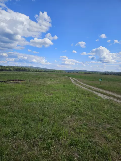 52 Nn Wagner Lot D Rd, Springdale, WA 99173 photo 10