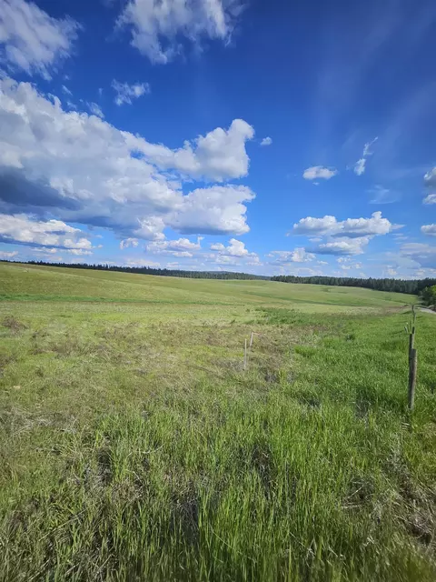 52 Nn Wagner Lot D Rd, Springdale, WA 99173 photo 14