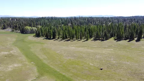 52 Nn Wagner Lot D Rd, Springdale, WA 99173 photo 6