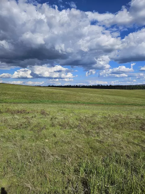 52 Nn Wagner Lot D Rd, Springdale, WA 99173 photo 13