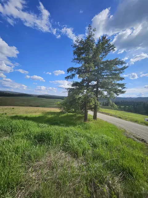 52 Nn Wagner Lot D Rd, Springdale, WA 99173 photo 12