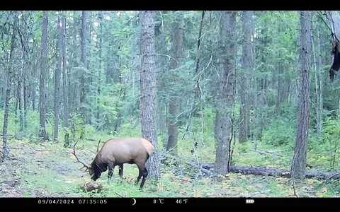 Other - 22292 N Leclerc Rd, Cusick, WA 99119 photo 6 of 14