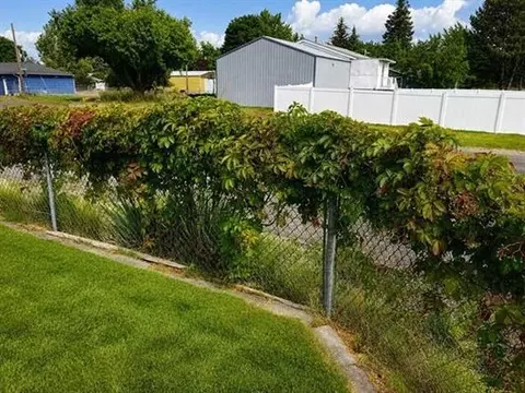 Exterior - 12703 E 8th Ave, Spokane, WA 99216 photo 15 of 19