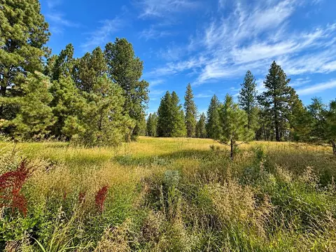 NNNN S Bootstrap Ln #1, Cheney, WA 99004