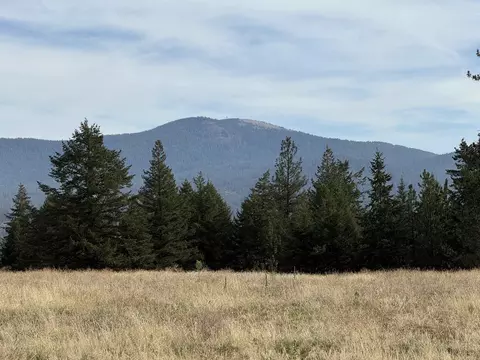 25054 N N Orchard Bluff Rd, Chattaroy, WA 99003