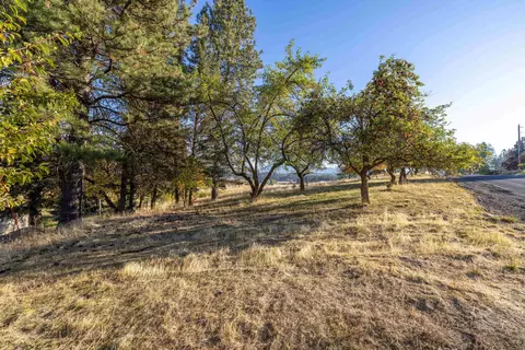 Exterior - 8001 E Woolard Rd, Colbert, WA 99005 photo 6 of 14