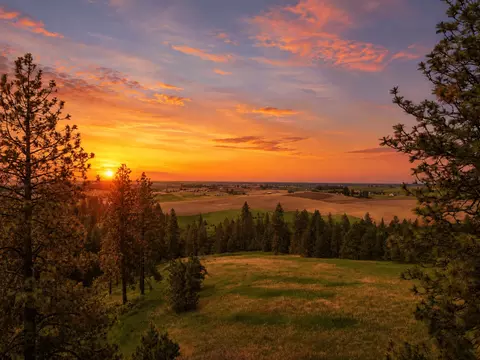 NNA S Sands Rd #8, Valleyford, WA 99036