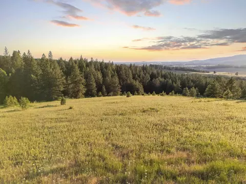 Nna S Mica Vista Ln, Mica, WA 99023