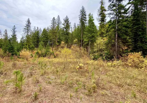 42 Nn Bussard Lake Rd, Loon Lake, WA 99148