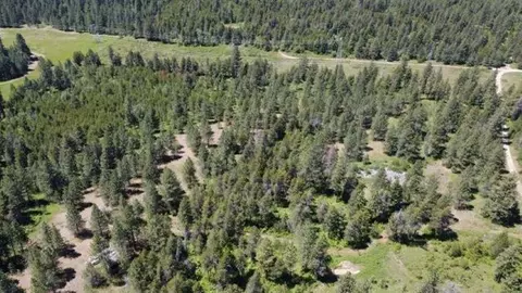 00 N Waldrons Ln, Chattaroy, WA 99003