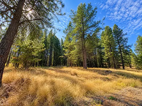 NNNN S Bootstrap Ln #2, Cheney, WA 99004 photo 8