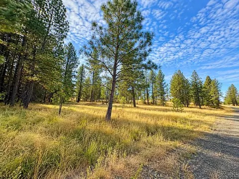 NNNN S Bootstrap Ln #2, Cheney, WA 99004 photo 7