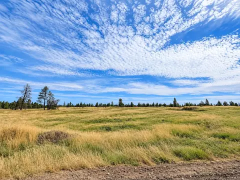 NNNN S Bootstrap Ln #12, Cheney, WA 99004 photo 6