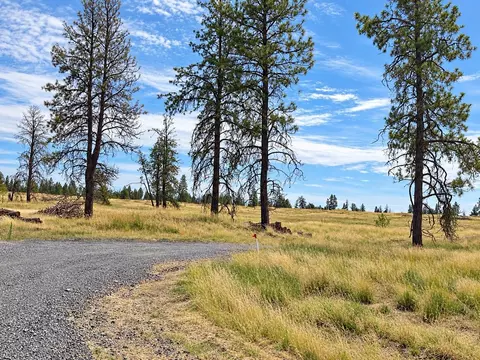 NNNN S Bootstrap Ln #12, Cheney, WA 99004 photo 3