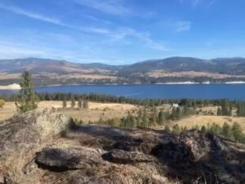 Nn Grand Louis Rd, Inchelium, WA 99138