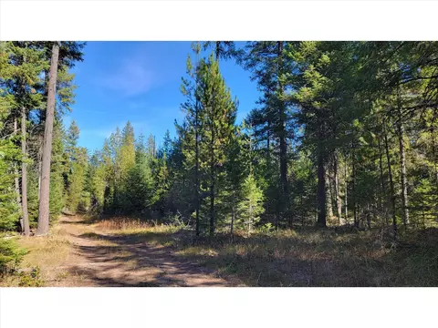 Nkn Northshore Diamond Lake Rd, Newport, WA 99156