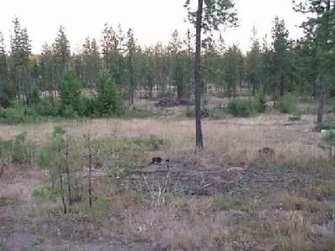 14007 E Casey Ln, Elk, WA 99009 photo 1