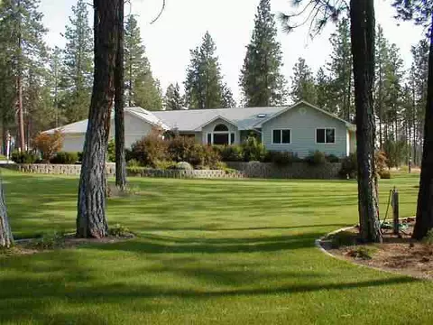 4804 E Silver Pine Rd, Colbert, WA 99005 photo 1
