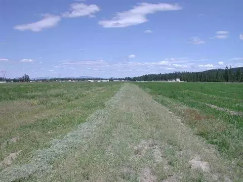 5311 E Woolard Rd, Colbert, WA 99005 photo 7