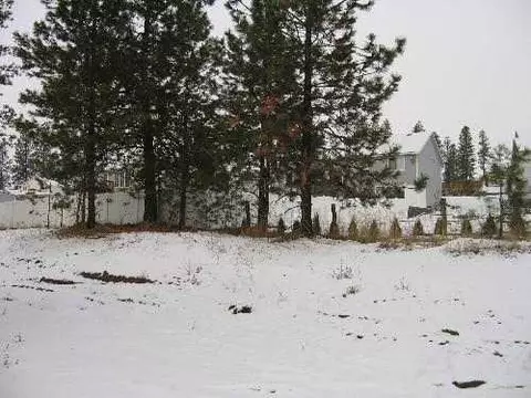 807 E Upper Terrace Ln, Colbert, WA 99005 photo 8