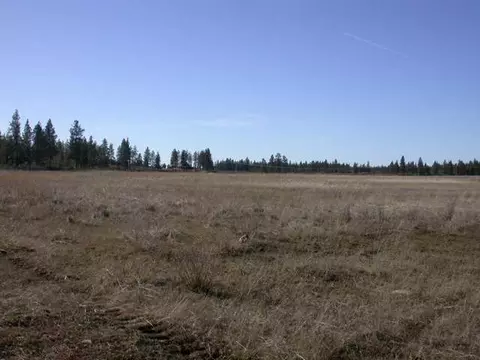 1320 E Smythe Rd, Spangle, WA 99031 photo 2