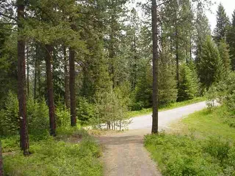 1507 E Riverview Dr, Colbert, WA 99005 photo 8