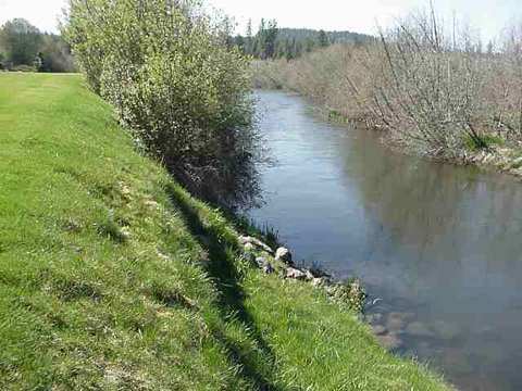 3421 E River Gln, Colbert, WA 99005 photo 9