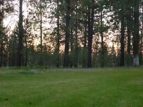 5015 E Silver Pines Rd, Colbert, WA 99005 photo 8