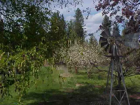 3327 E Woolard, Colbert, WA 99005 photo 9