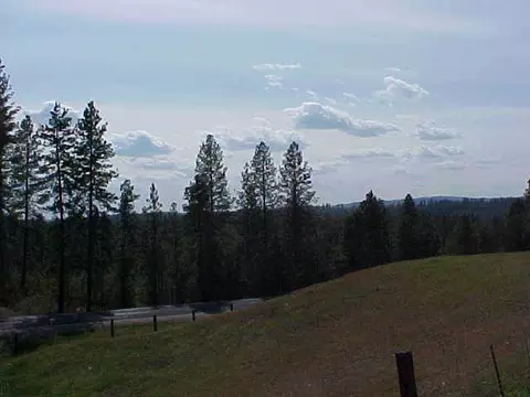 3327 E Woolard, Colbert, WA 99005 photo 4