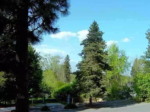 3908 E 7th, Spokane, WA 99202 photo 6