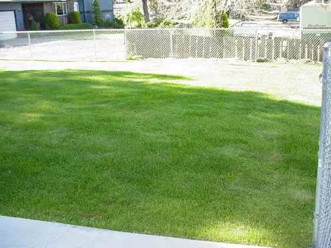 4102 E 8th, Spokane, WA 99202 photo 3